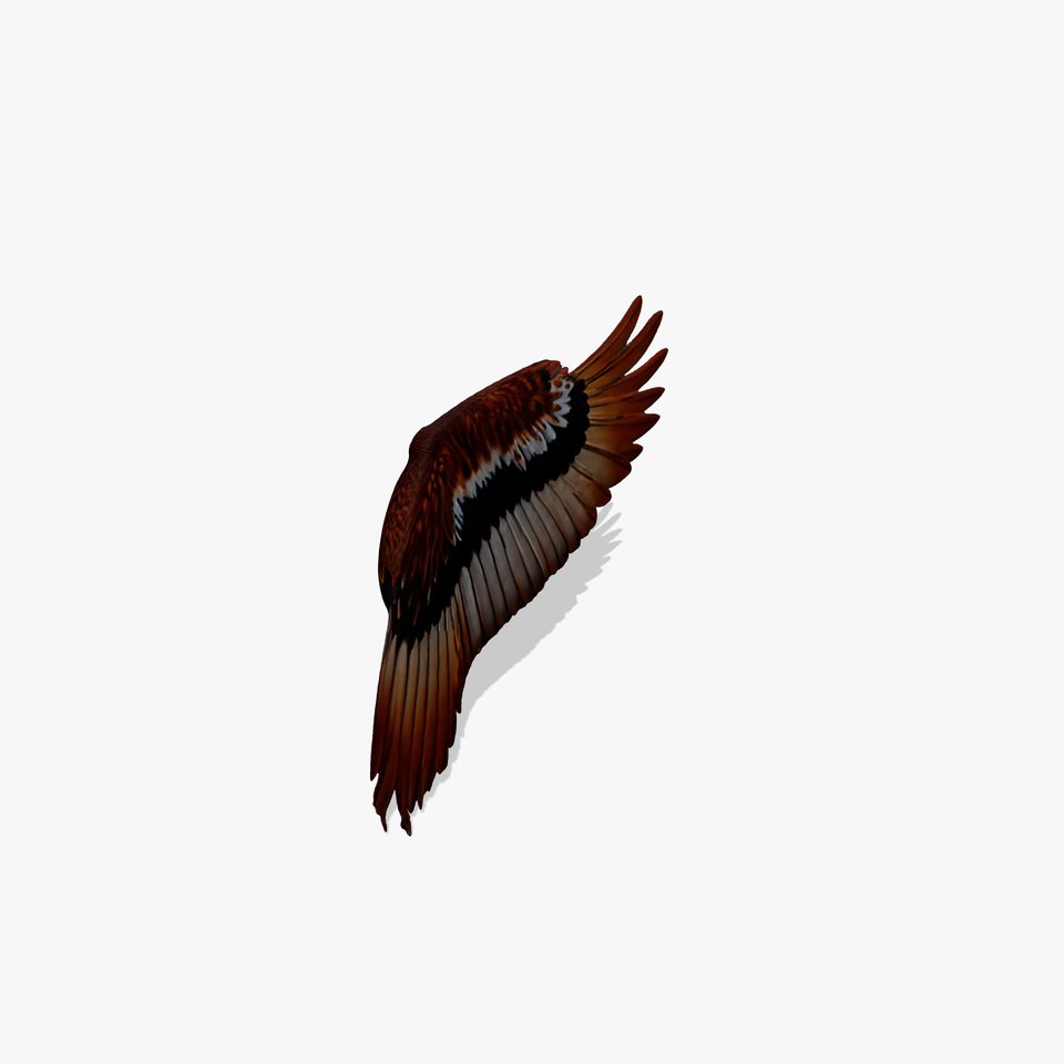 Majestic Brown Feathered Wing model pack